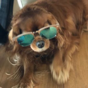 Meet your Posher, Julia